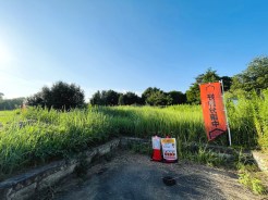 建築条件なし売地