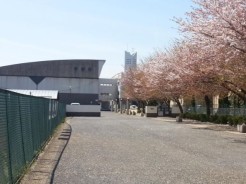 八街市立八街北中学校