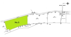 5号地