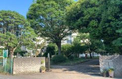 柏市篠籠田