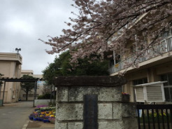 市立山王小学校