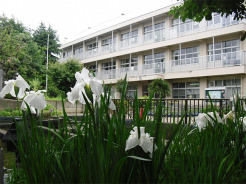 市立あやめ台小学校